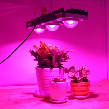COB LED Rásť Svetlo celé Spektrum 100W 300W 200W LED Rastlín Rastú Lampa Pre Izbové Rastliny, Kvety Skleníky Hydroponics Rásť Stan