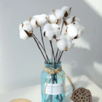 1 hlavy sušené bavlna stonky prírodné umelé kvetiny dekoratívne Svadobné domácej strany, obývacia izba dlho pobočky